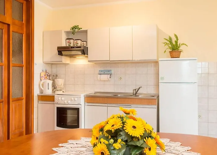 Διαμέρισμα Anka Krnica